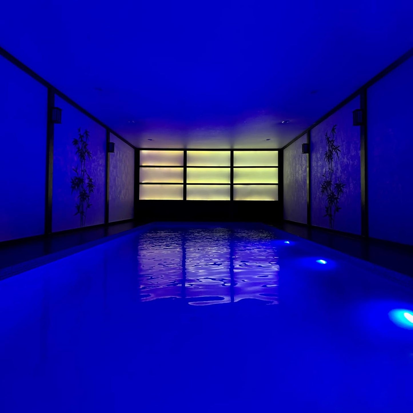 Swimming Pool Lights, 3W Dimmable IP68 LED Underwater Light, 12V-24V DC, LSSD-3W-BLUE-4P