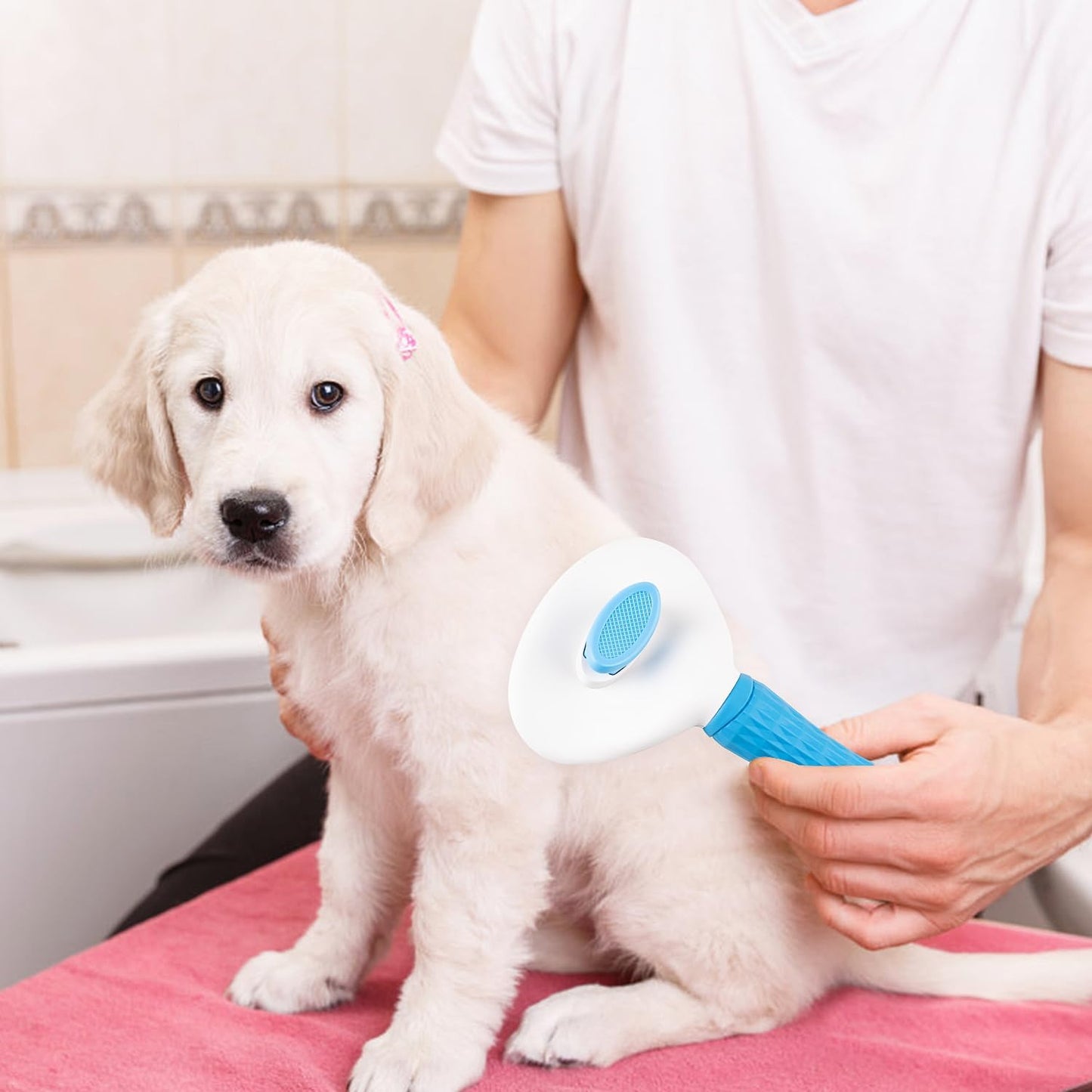 Self Cleaning Slicker Brush, Dog Cat Bunny Pet Grooming Shedding Brush