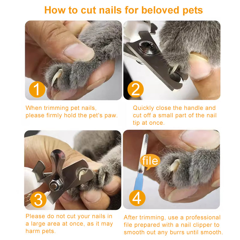 Pet Nails Clipper and File Kit - Sky Blue Color