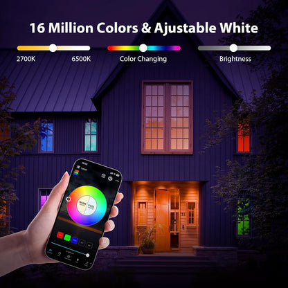 60W Replace A19 LED Bulb Edison Base, Smart Home Lighting, 4-Pack